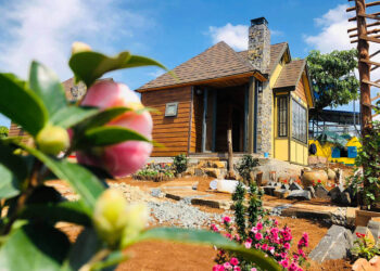 Top 20 homestay Bình Phước