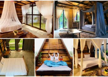 Top 20 homestay Gia Lai