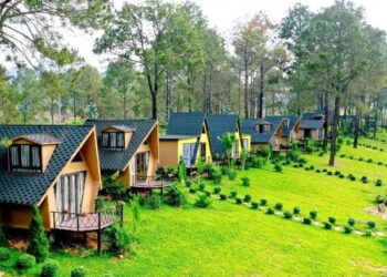 Top 20 homestay tại Quảng Trị