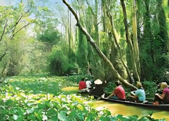 Kinh nghiệm du lịch Đồng Tháp