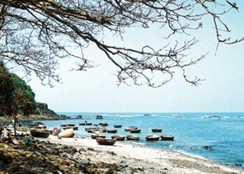 Kinh nghiệm du lịch Quảng Ngãi